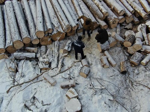 Хяналт шалгалт зохион байгууллаа